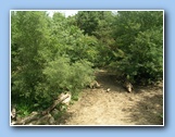 [Click to enlarge image]